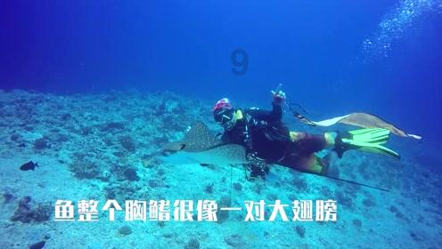 拯救受伤的男人